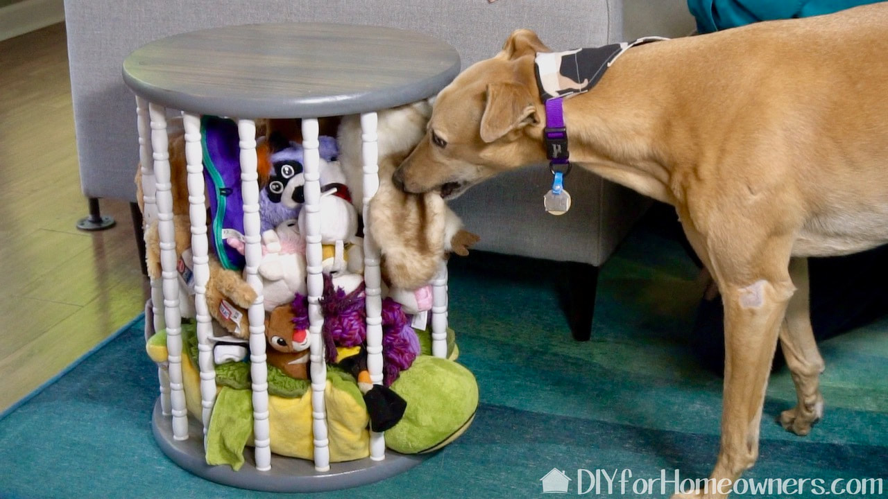 Greyhound Mac can get her dog toys when she wants to play.