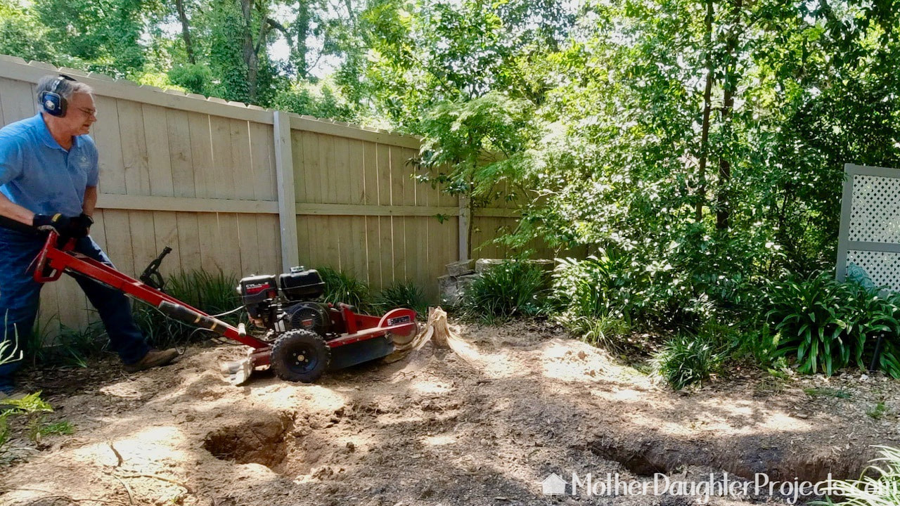 We rented a stump grinder from The Home Depot Tool Rental department to take care of the stump. 