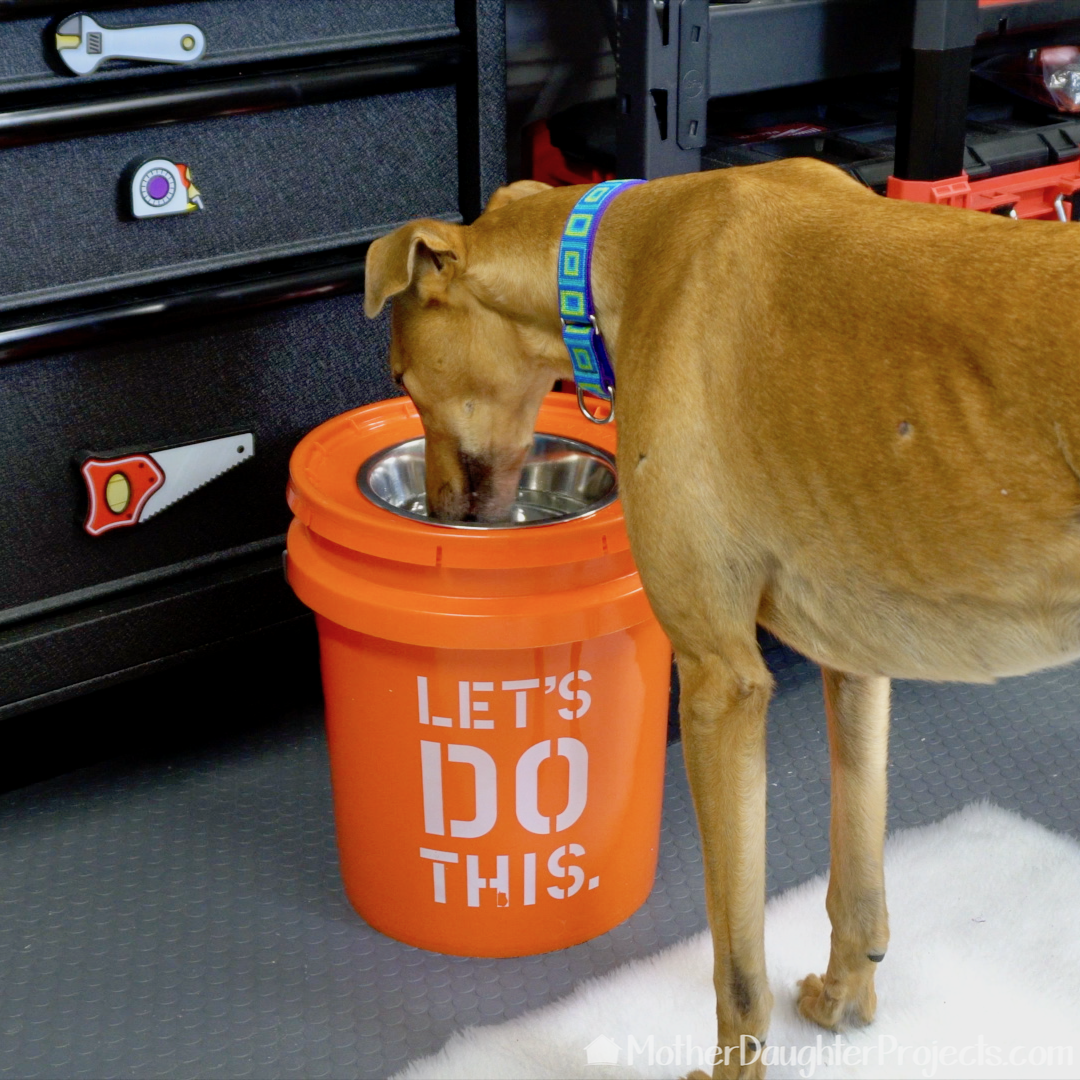DIY Dog Bowl Stand  Raised Dog Feeder 