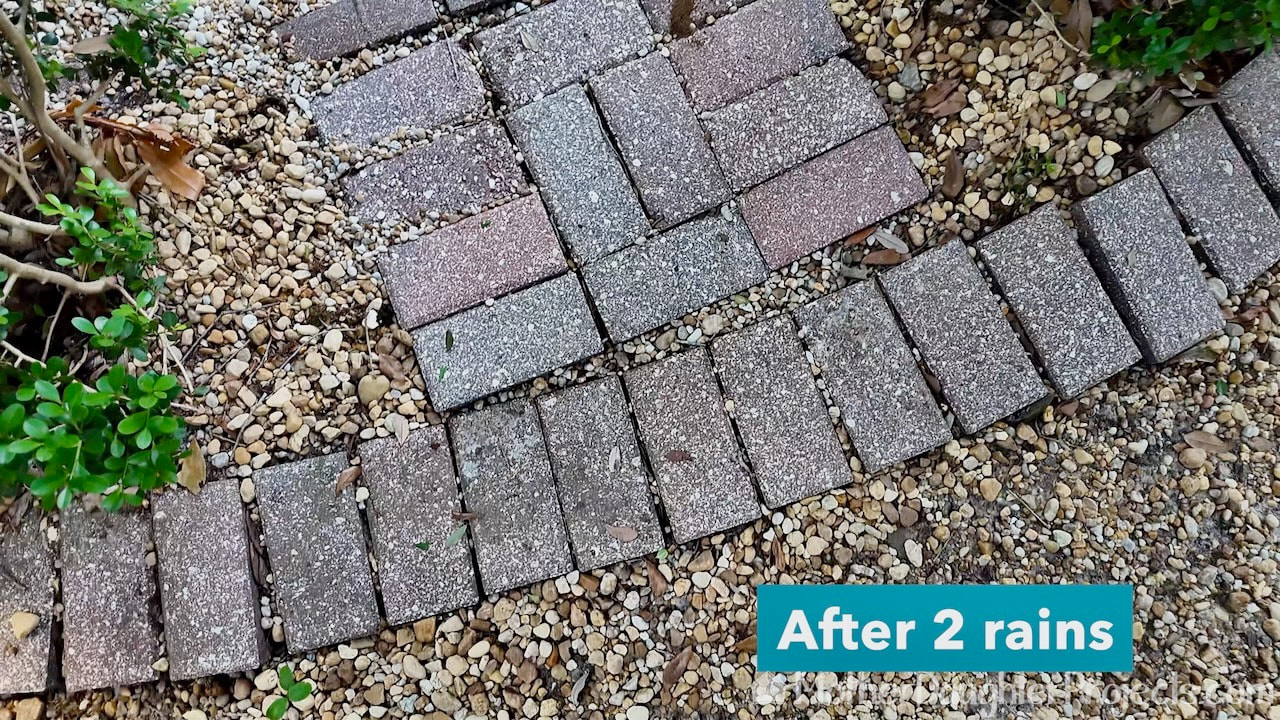 After using wet and forget on the patio bricks. 